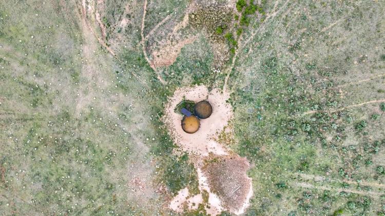 Fully Fenced Cattle Ranch