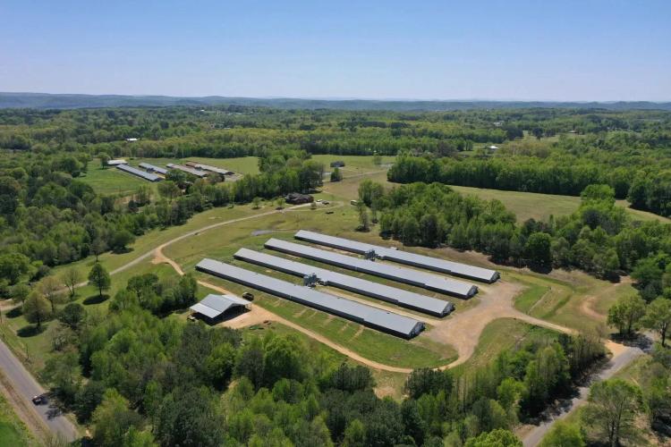 Harraid Broiler Farm – Etowah County, Alabama