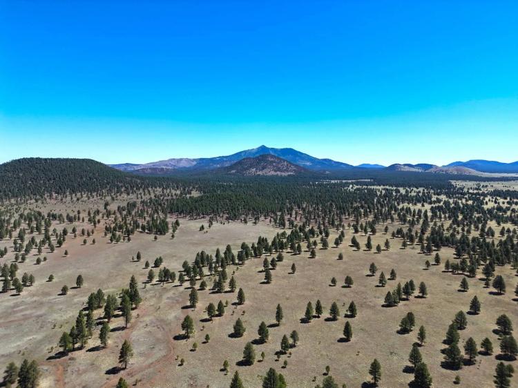 Wineglass Ranch,Northern AZ 100 AC private land,78,000+ AC Lease