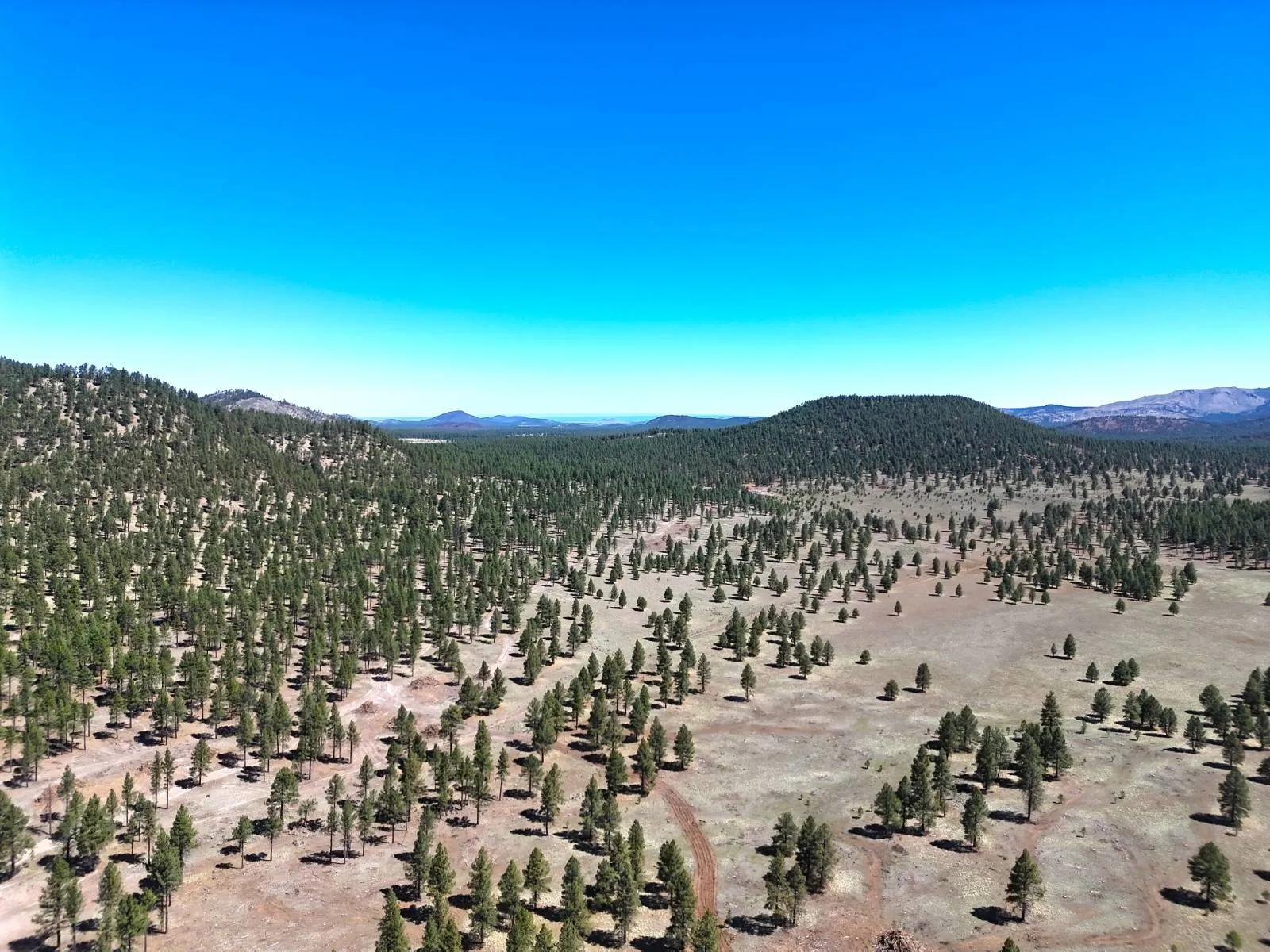 11458652-1