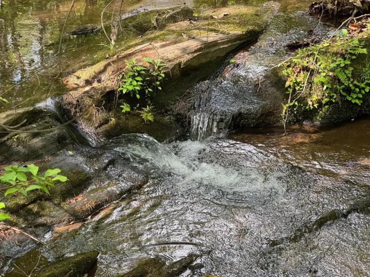 35.85 +/- Acre, Churchilll Road, Tallapoosa County, AL
