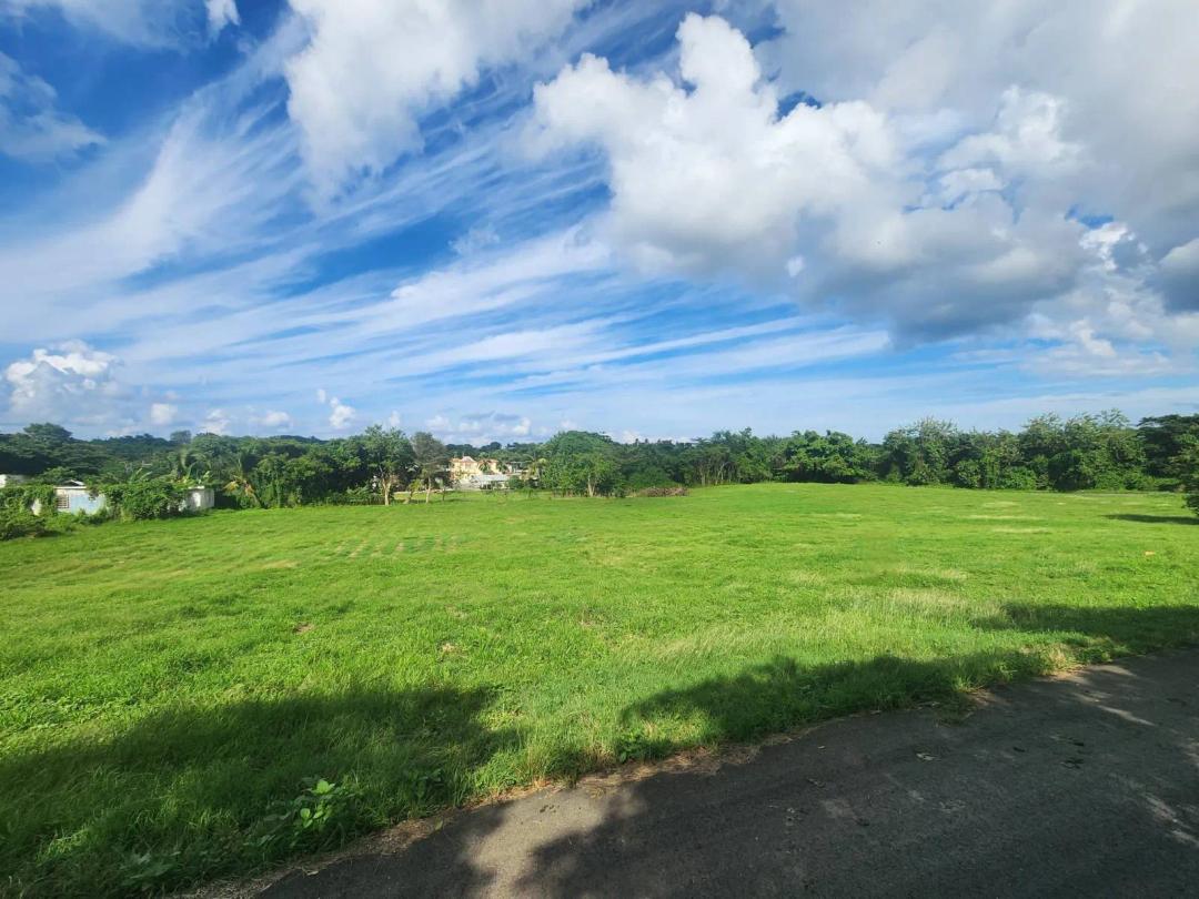En Venta Solar de 2,000 m² en Carr. 113 Barrio Coto, Isabela