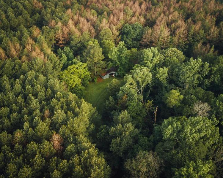 81 Acres with a Cabin in Rankin and Simpson Counties, MS