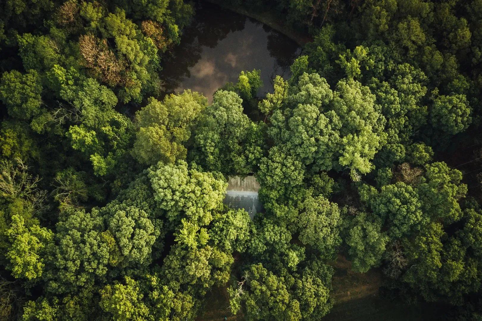 11497497-1