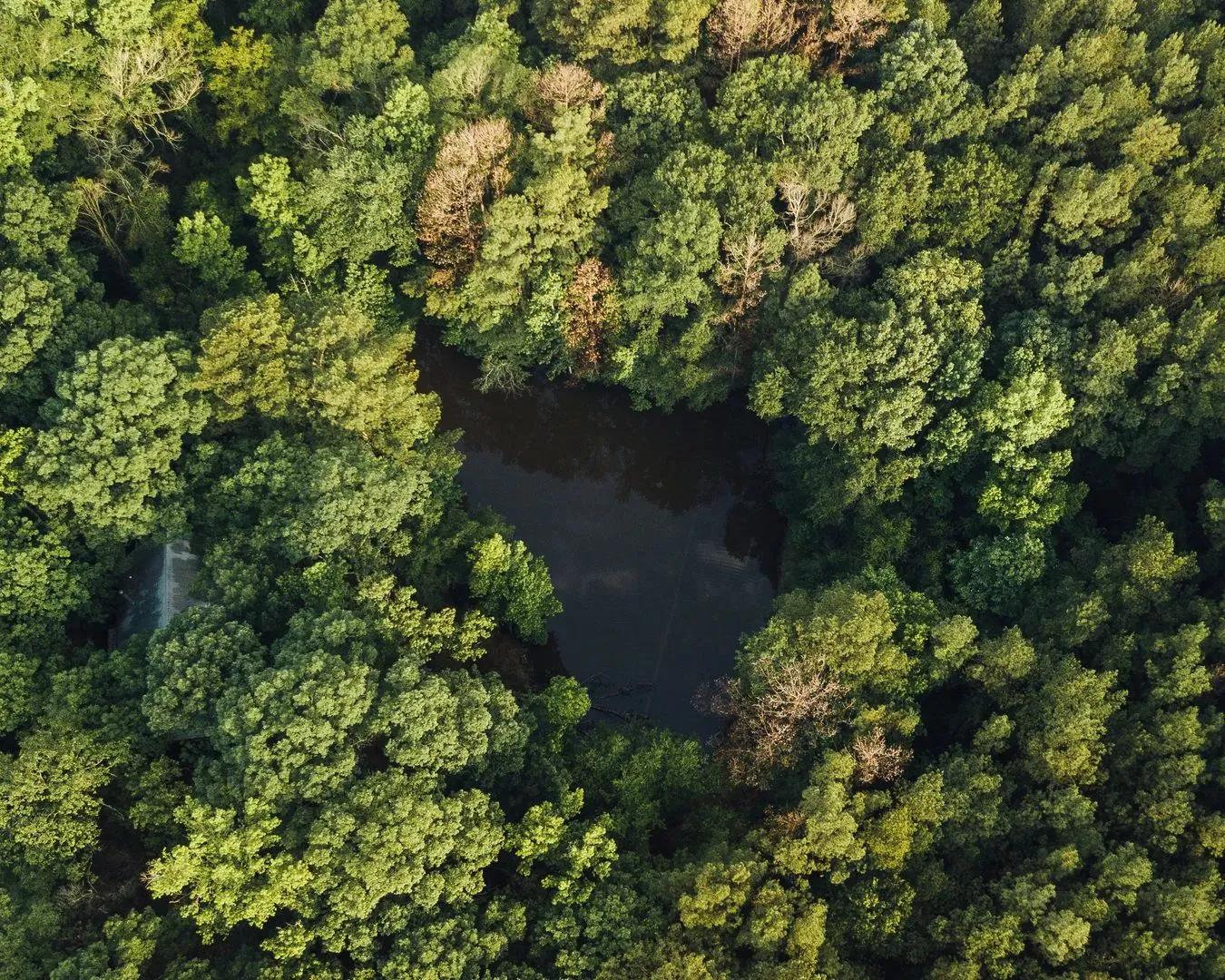 11497497-3