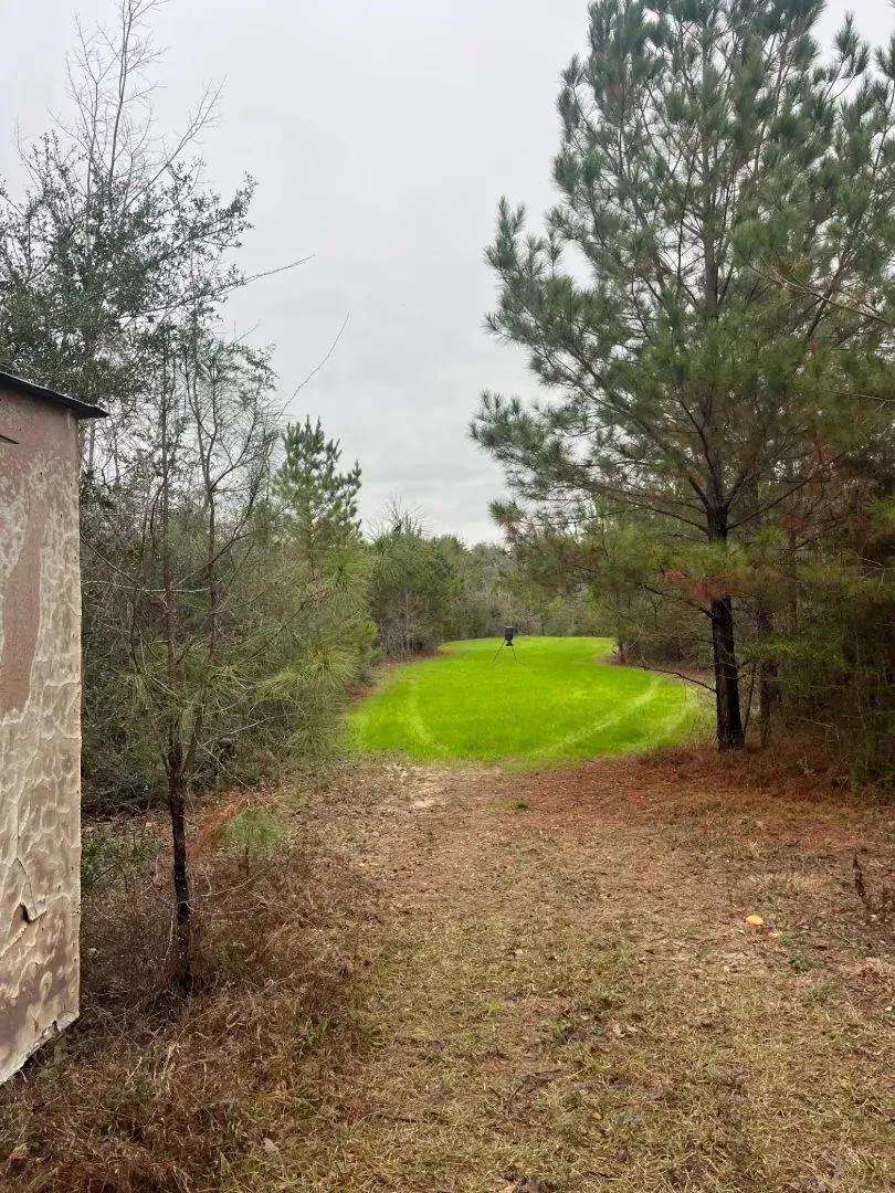 200 Acres in Wayne County, MS