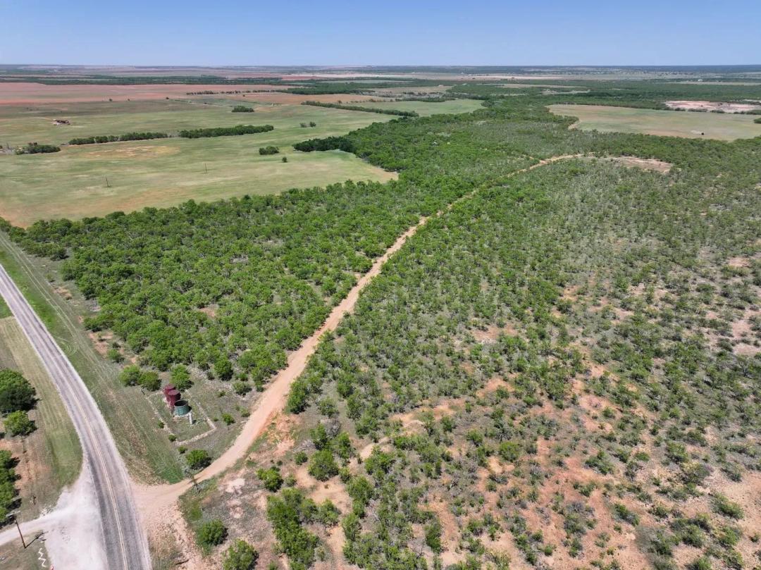 10.01 Acres, TBD FM 3116, Hawley (Tract 2)