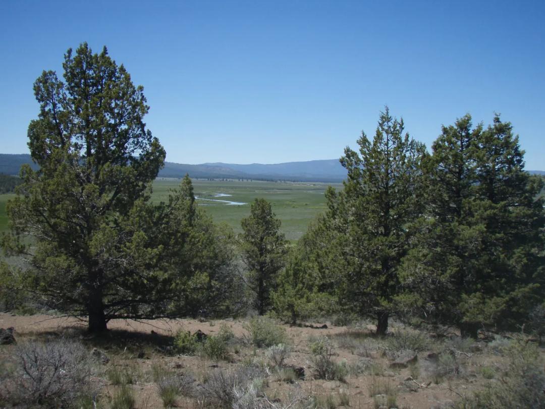 Sprague River Valley Views * Site builds, Mobiles, Modulars allowed