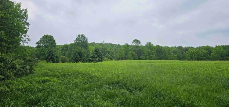 150 acres Hunting Land and Recreational Land bordering State Forest in Oxford NY Gospel Hill Rd