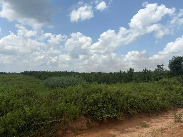 7.41 Acres of Country Freedom - No Restrictions!
