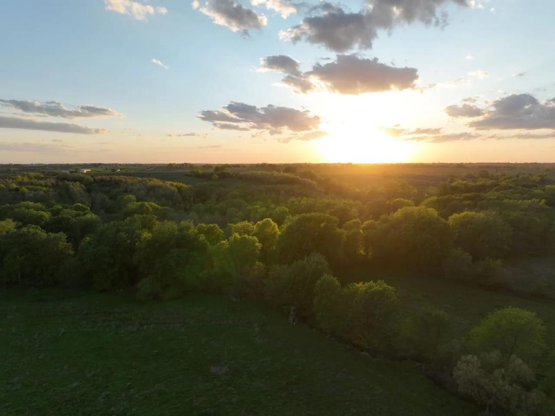 Listing #19409 - 338.00 acres in Wayne County, IA