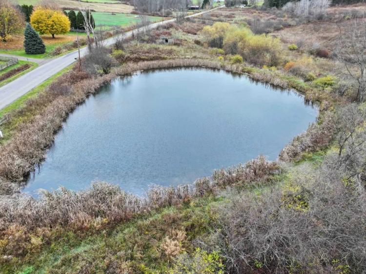 7 acre Building Lot and Recreational Land with Pond in Falconer NY Dry Brook Rd Lot 8