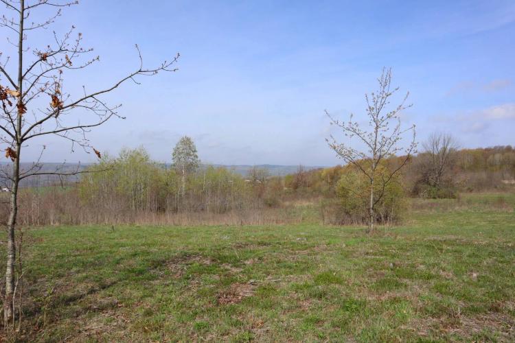 11.94 Acres at 0 Shellstone Rd