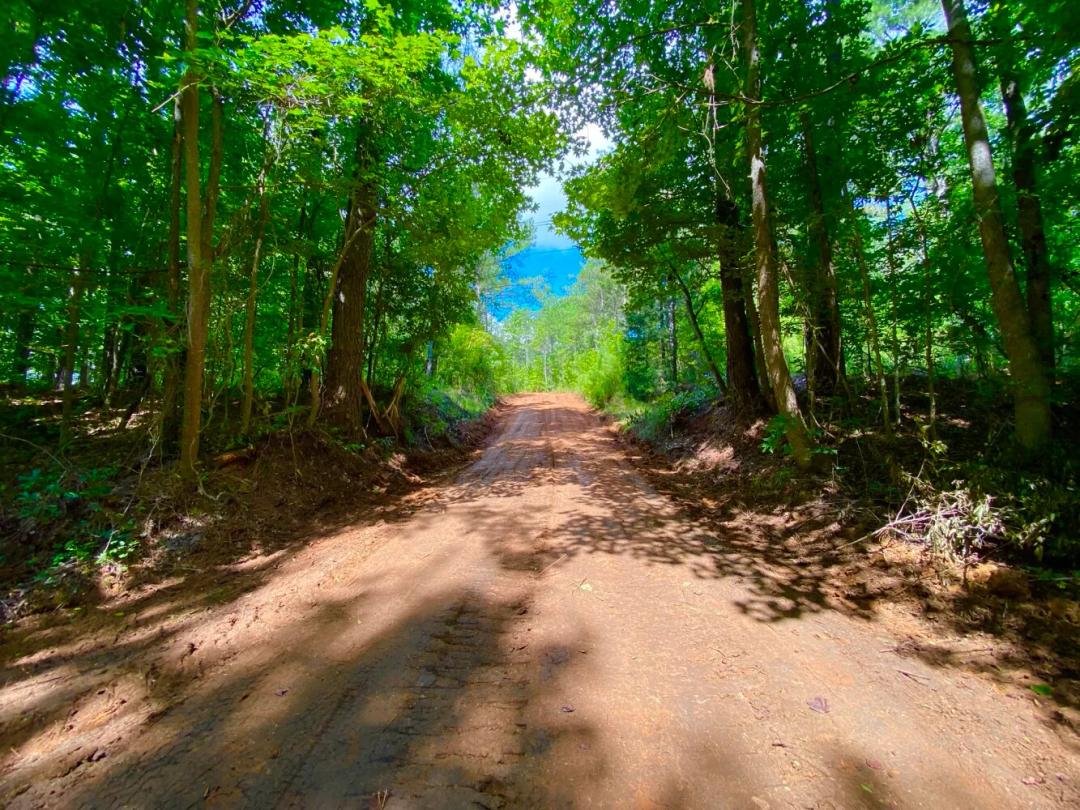 35.00 Acres at 0 HWY 5