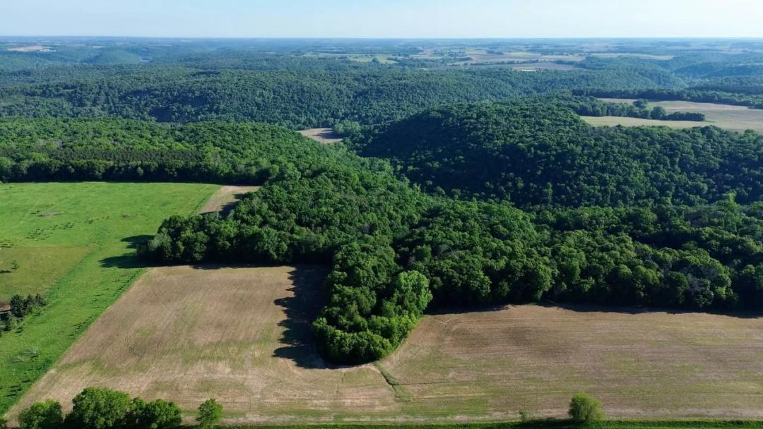 Beautiful 5-Acre Build Site with Mature Timber & Fiber Internet