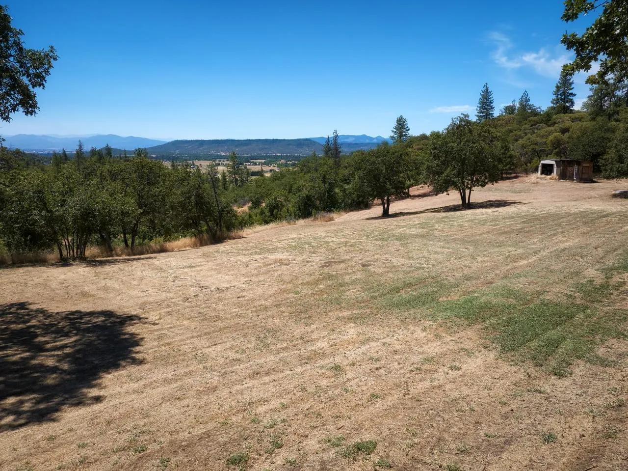 11655354-34