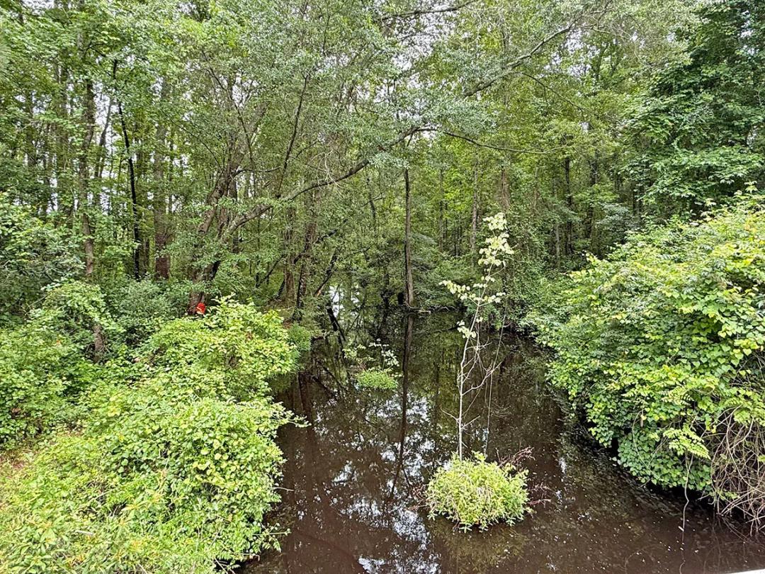 27.30 Acres at 0 Willamette Rd