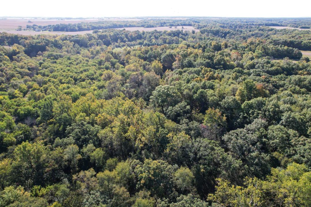Bureau County, Illinois 36 Acres For Sale