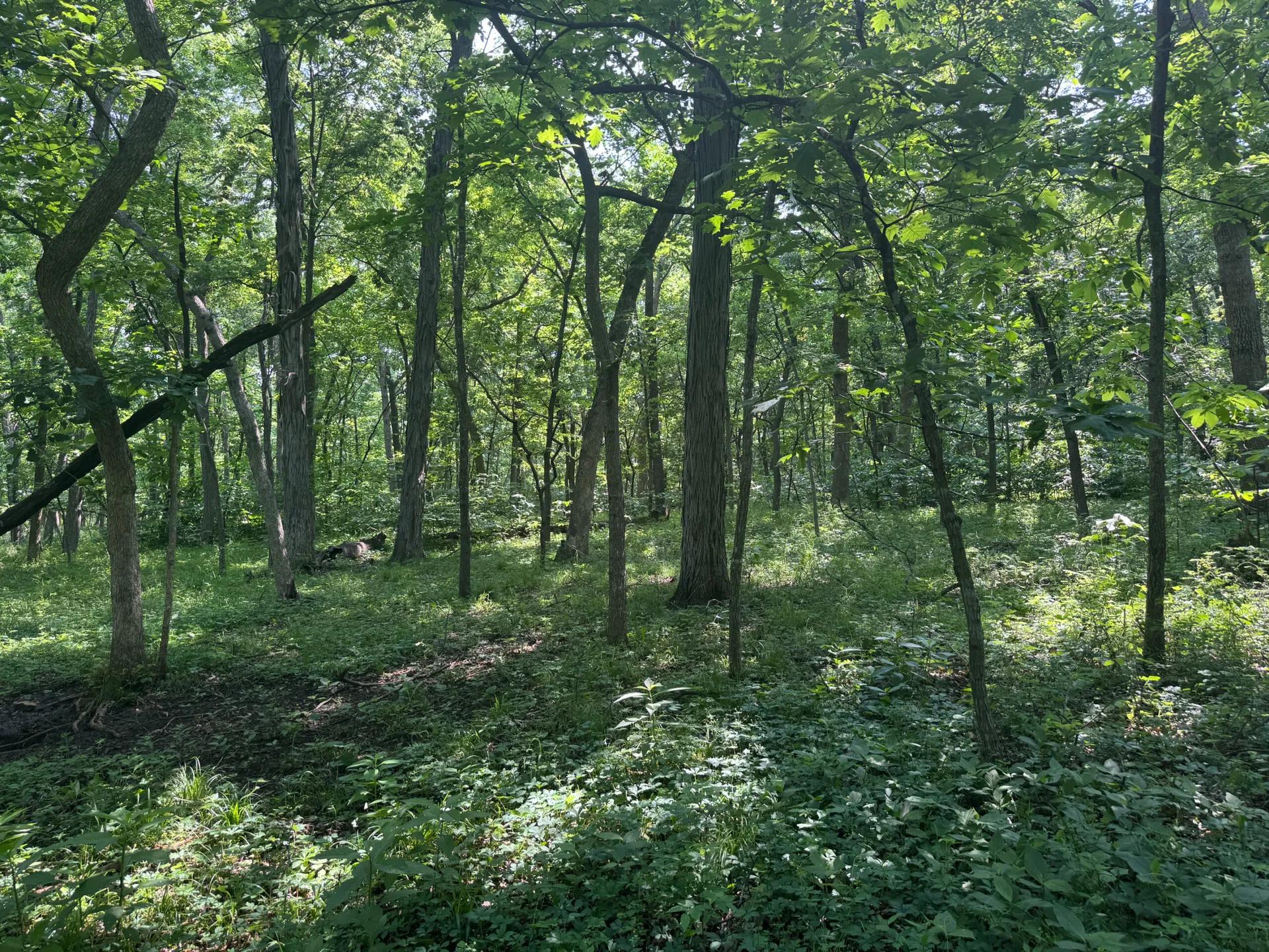 11752893-6