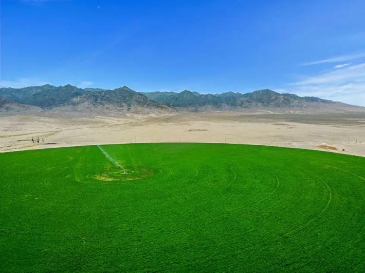 Cross L Ranch With BLM Grazing Allotments, Central, Nevada