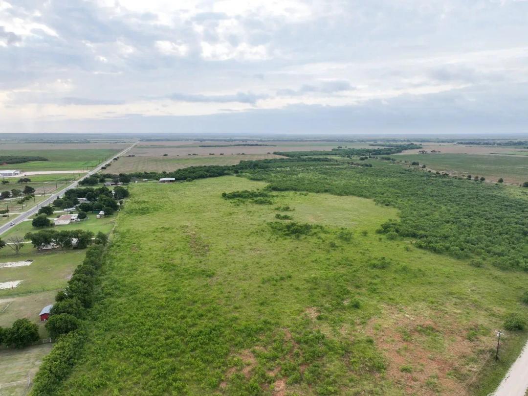3.67 Acres, TBD FM 613, Tuscola (Lot 7)