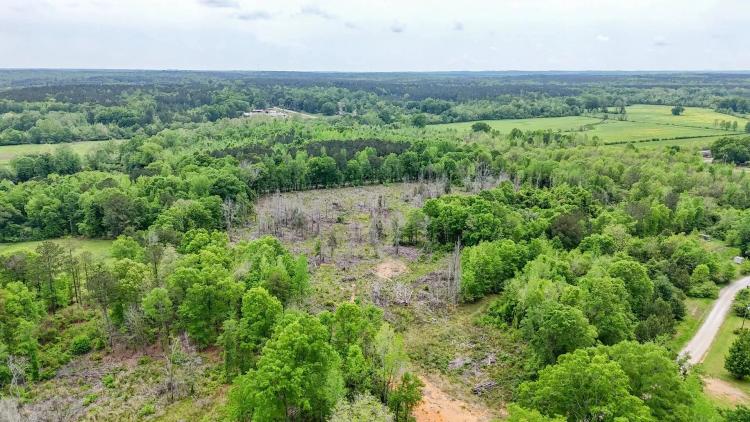 17 +/- Acre Homesite and Pasture Potential in Chambers Co