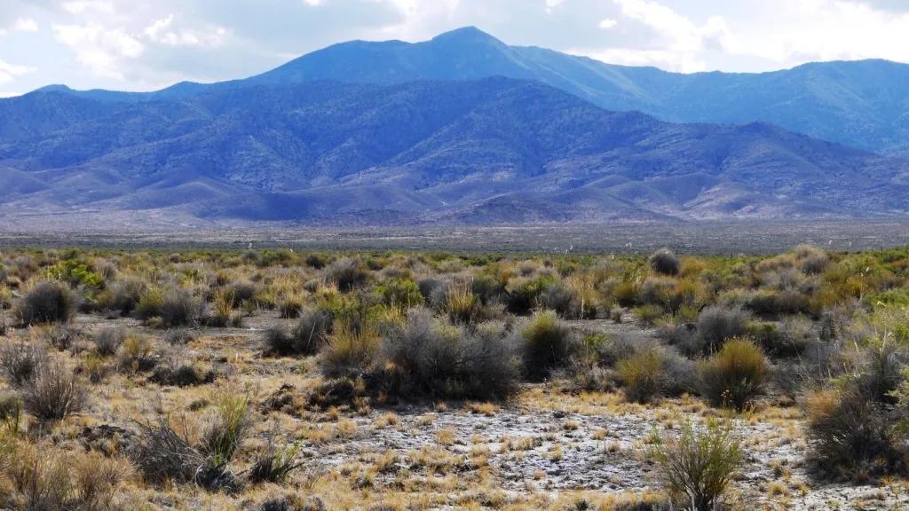 40 acres in Buena Vista Valley - Unionville - No restricitons - Camp RV