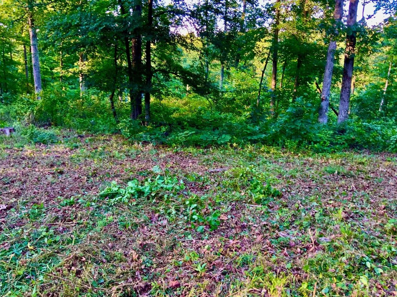 11851503-13
