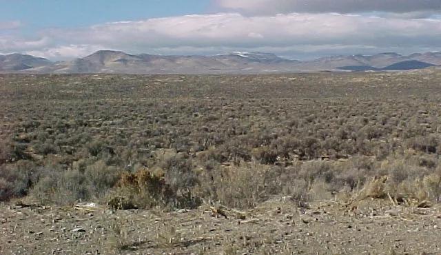 Corner Lot - Twin River Ranches - Mobiles Modulars Site builds - Camp RV