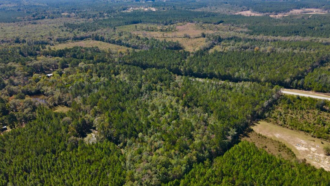 13.00 Acres at 0 Highway 45 Tract