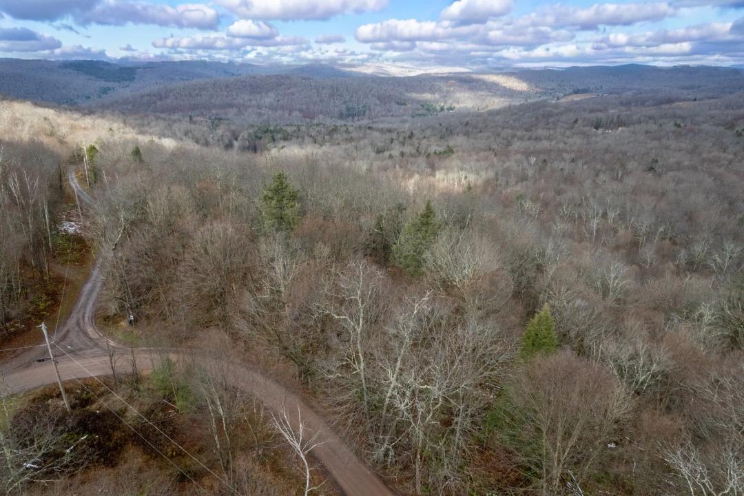 Catskill Views