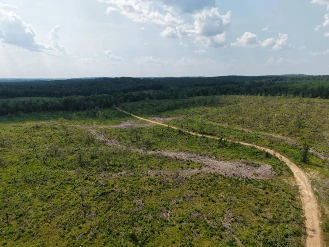 61 Acres in Pike County, AR