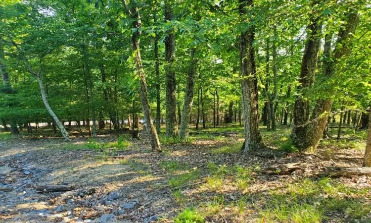 0.60 Acre Corner Building Lot with Cherokee Lake Access
