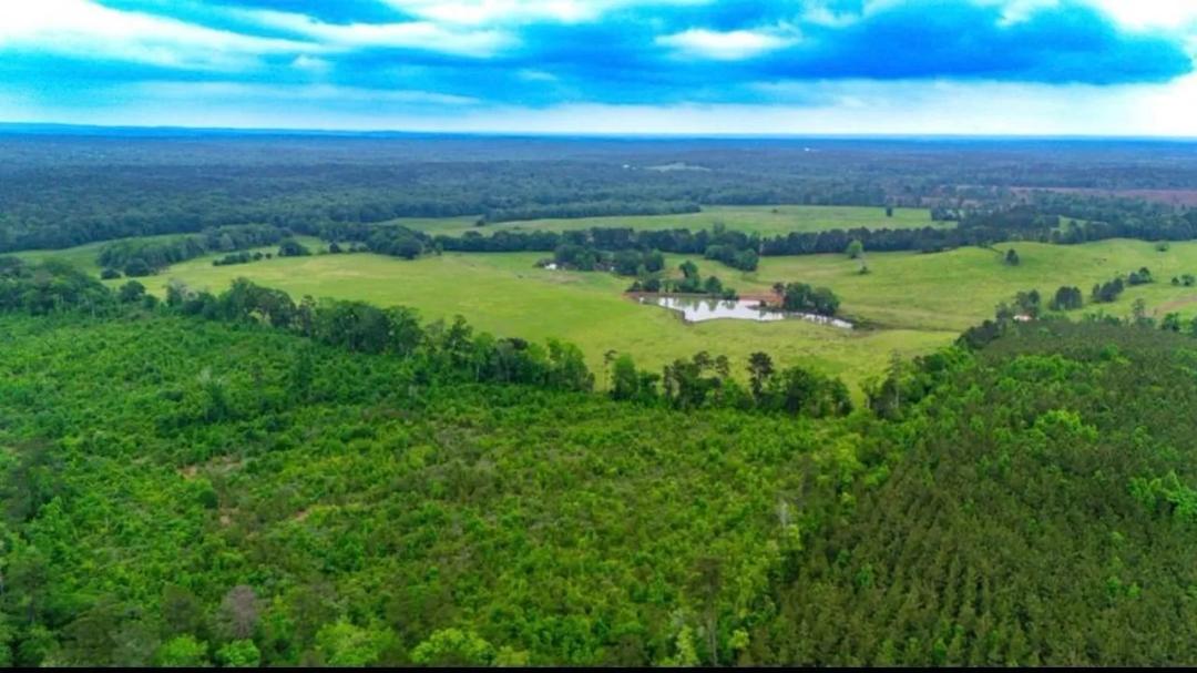 300 East Texas Rolling Acres