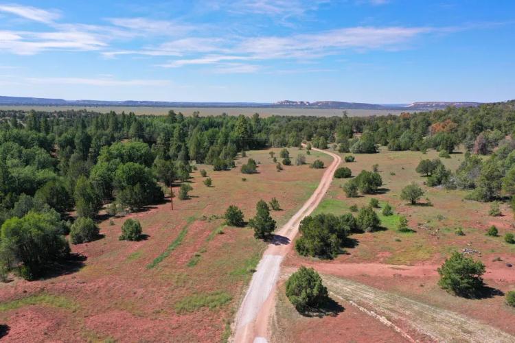 Oso Creek Ranch