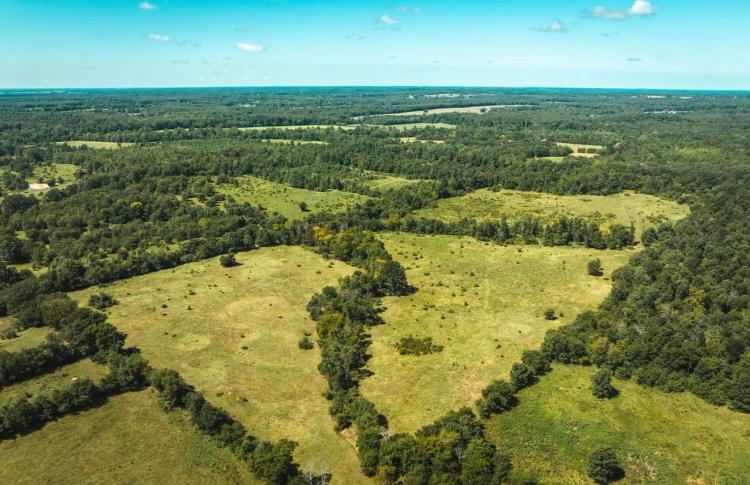 Eastern Ozark Border Pasturelands Tract 2