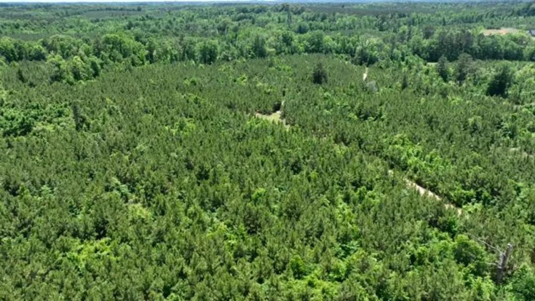 Anderson Road Tract, Lincoln Parish, 47 Acres +/-
