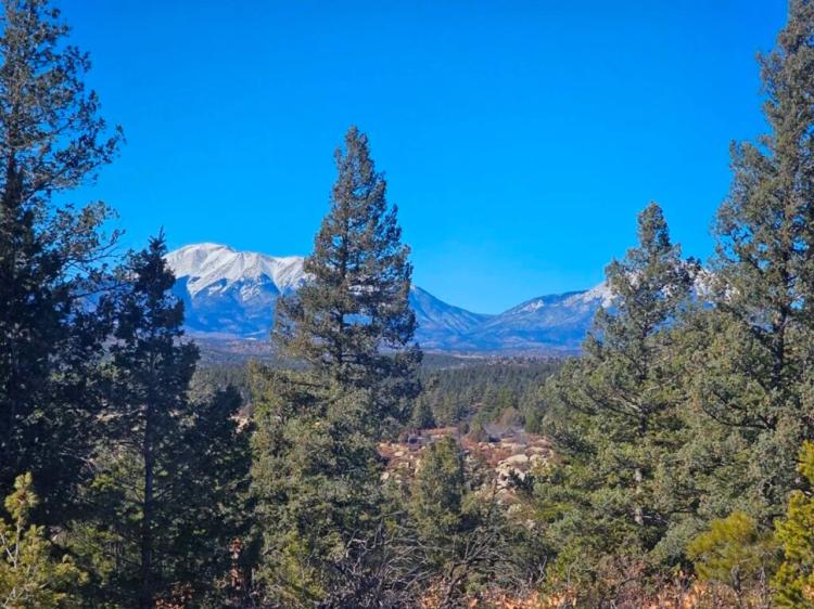 40 Acres Bordering 4,300+ acres of State Wildlife Area