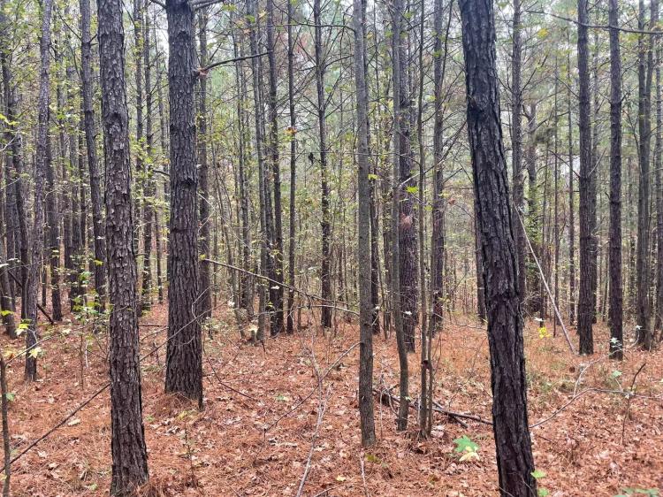 174 +/- ac on CR 56