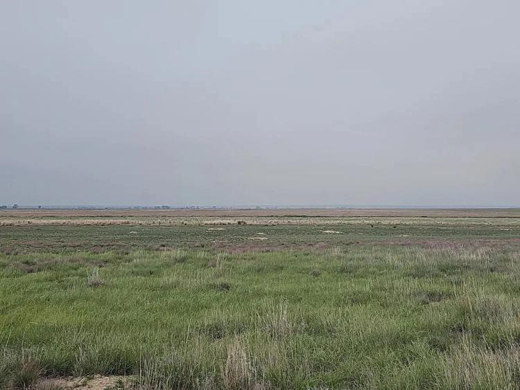 159.57 Acres of CRP For Sale