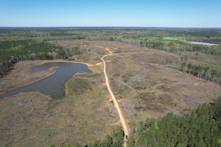 141 Acres in Scott County in Forest, MS 