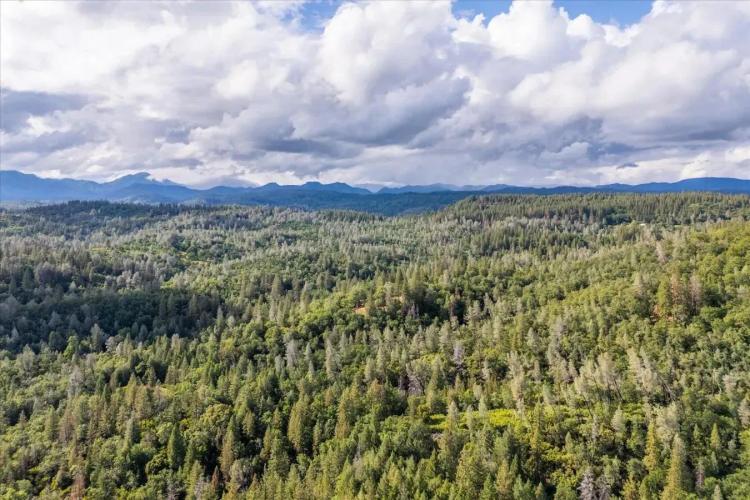 Discover the beauty and privacy of these 2 parcels