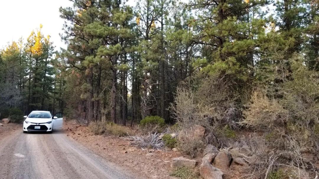 Forested Lot  Camp * RV * Build