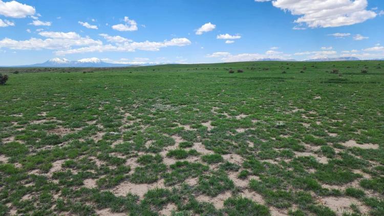 258 Colorado Land & Livestock Unit F, Walsenburg, CO 81089