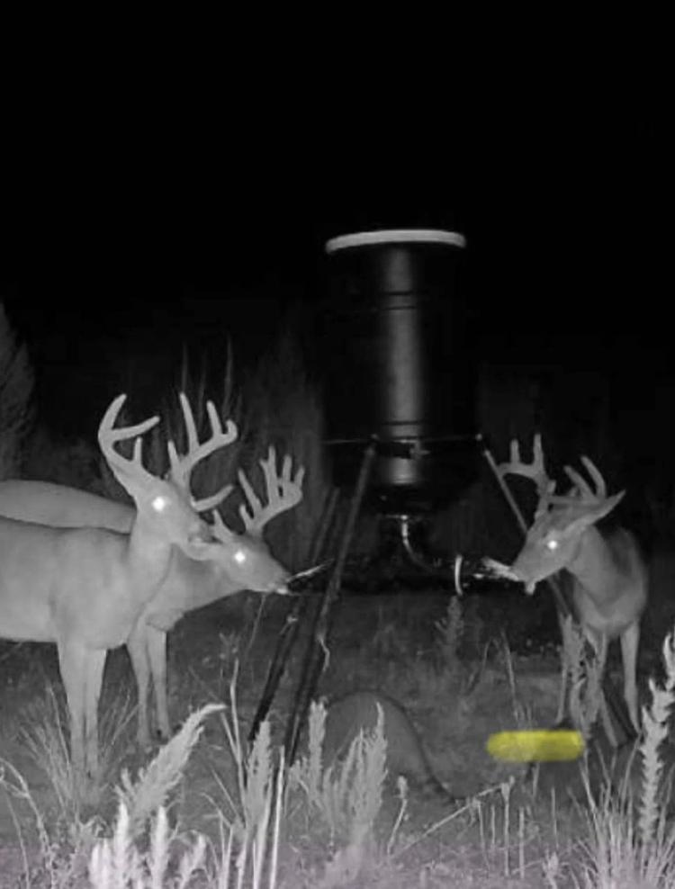+/- 128 Acres Jefferson Davis