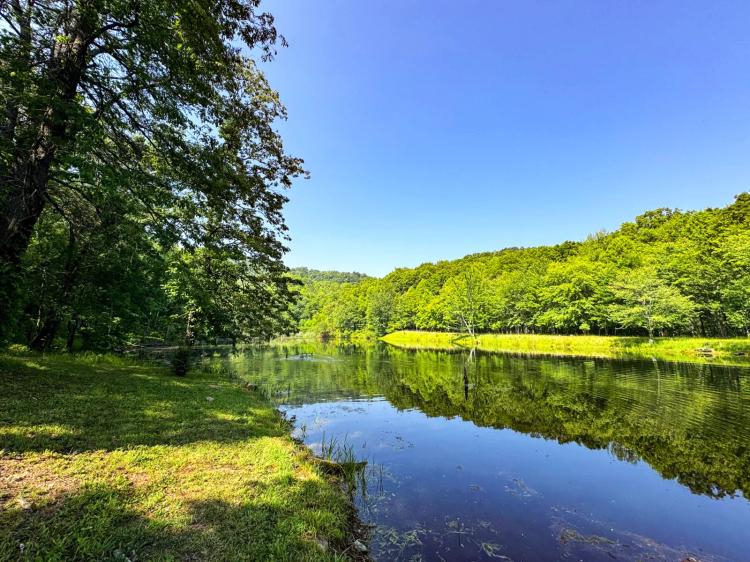 The Gone Fishing Retreat