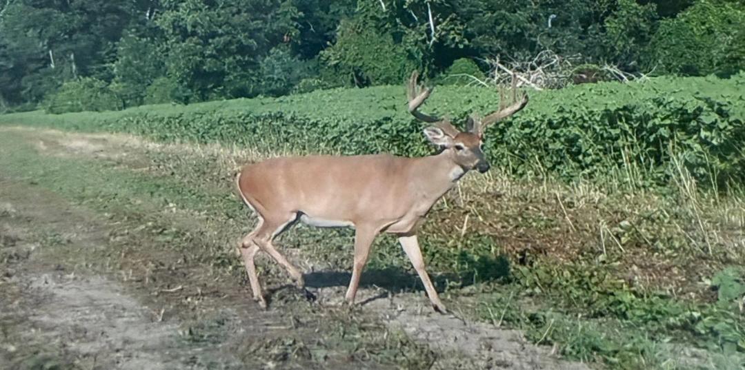 8000.00 Acres at 0 HWY 604