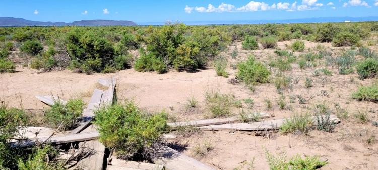 Spacious * Quiet * semi-remote * San Luis Valley