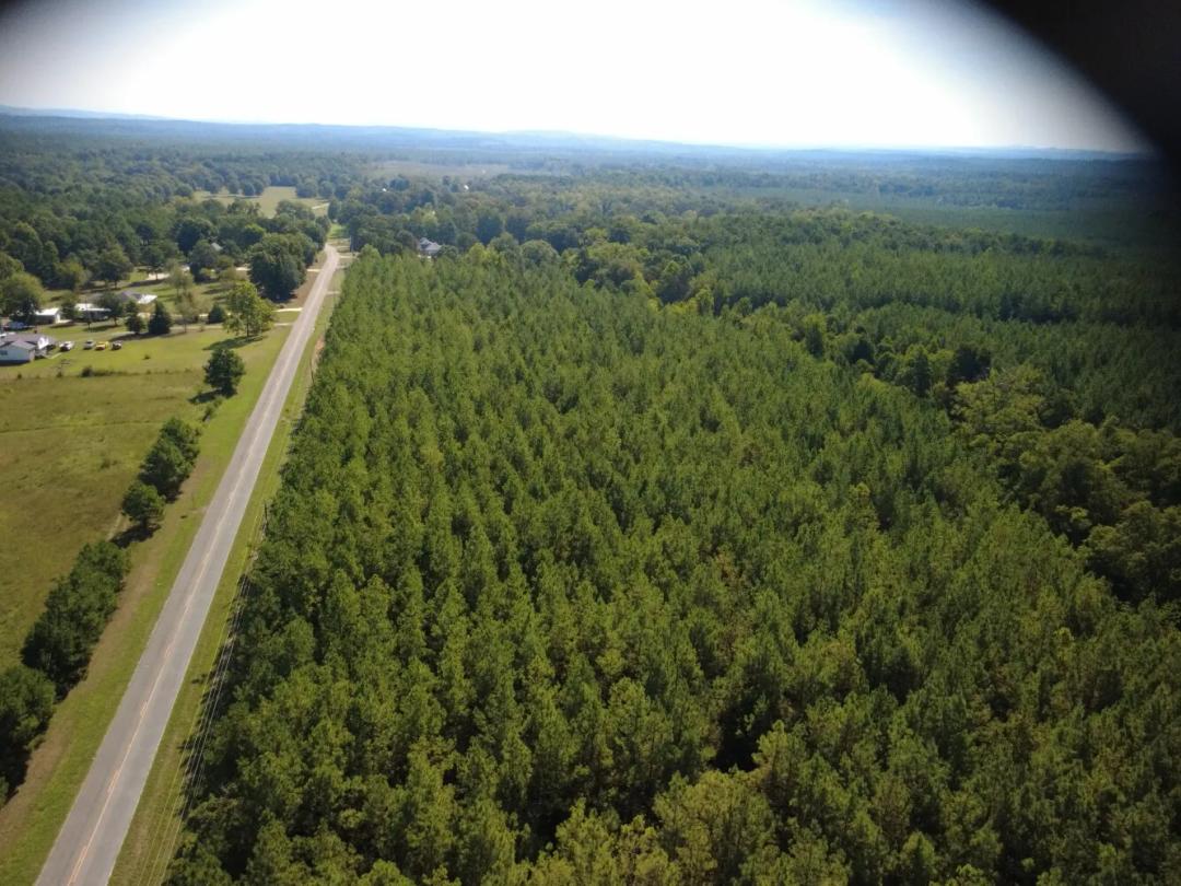 35.00 Acres at  Highway 61