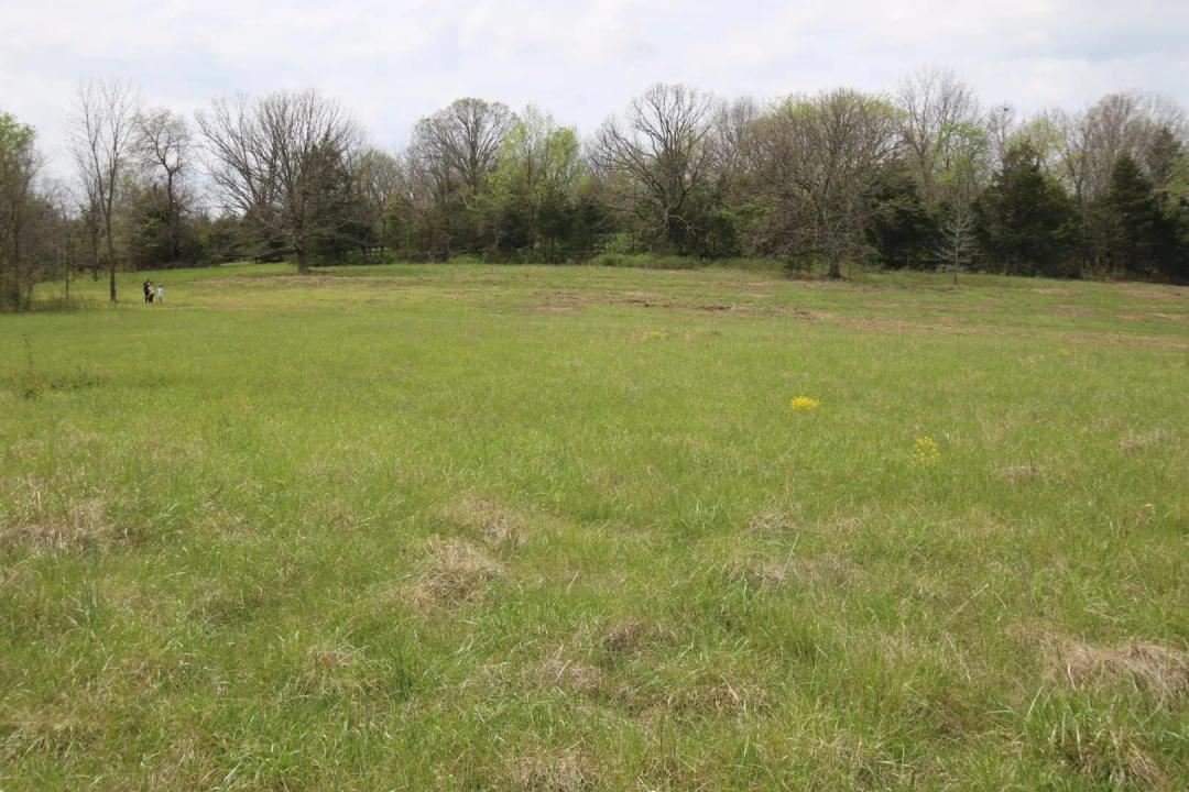 6.1 Acres in Webster County, MO 